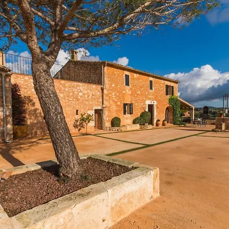 Ideal Mallorca - Pleta *